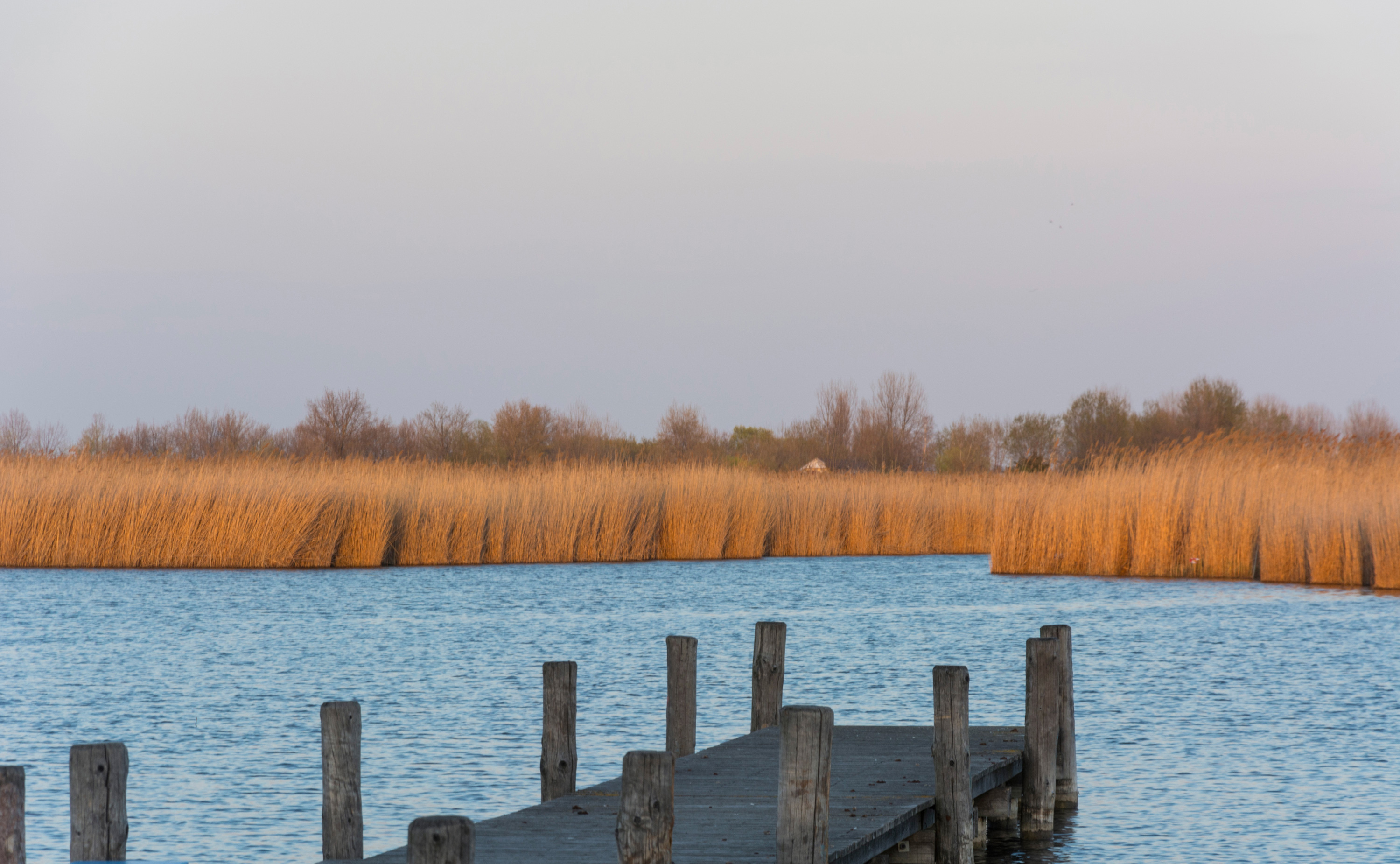Image 05